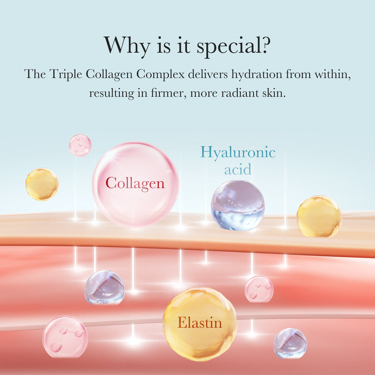 triple-collagen-cream-e9 04_8e4e330d-7d9c-4ff0-93ec-ea541093220c.jpg